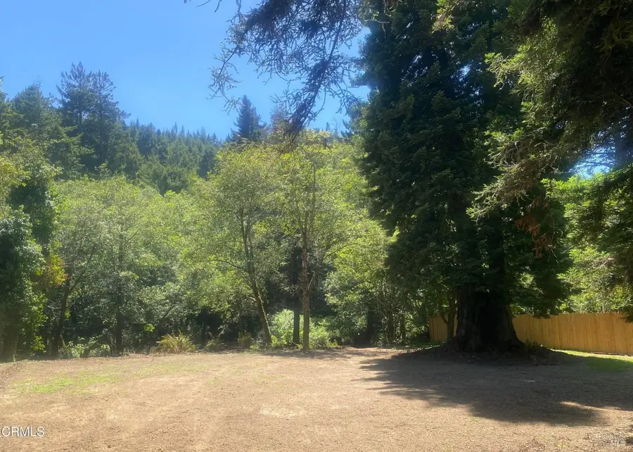 23780 Dehaven Creek Road, Westport, CA 95488 - #3