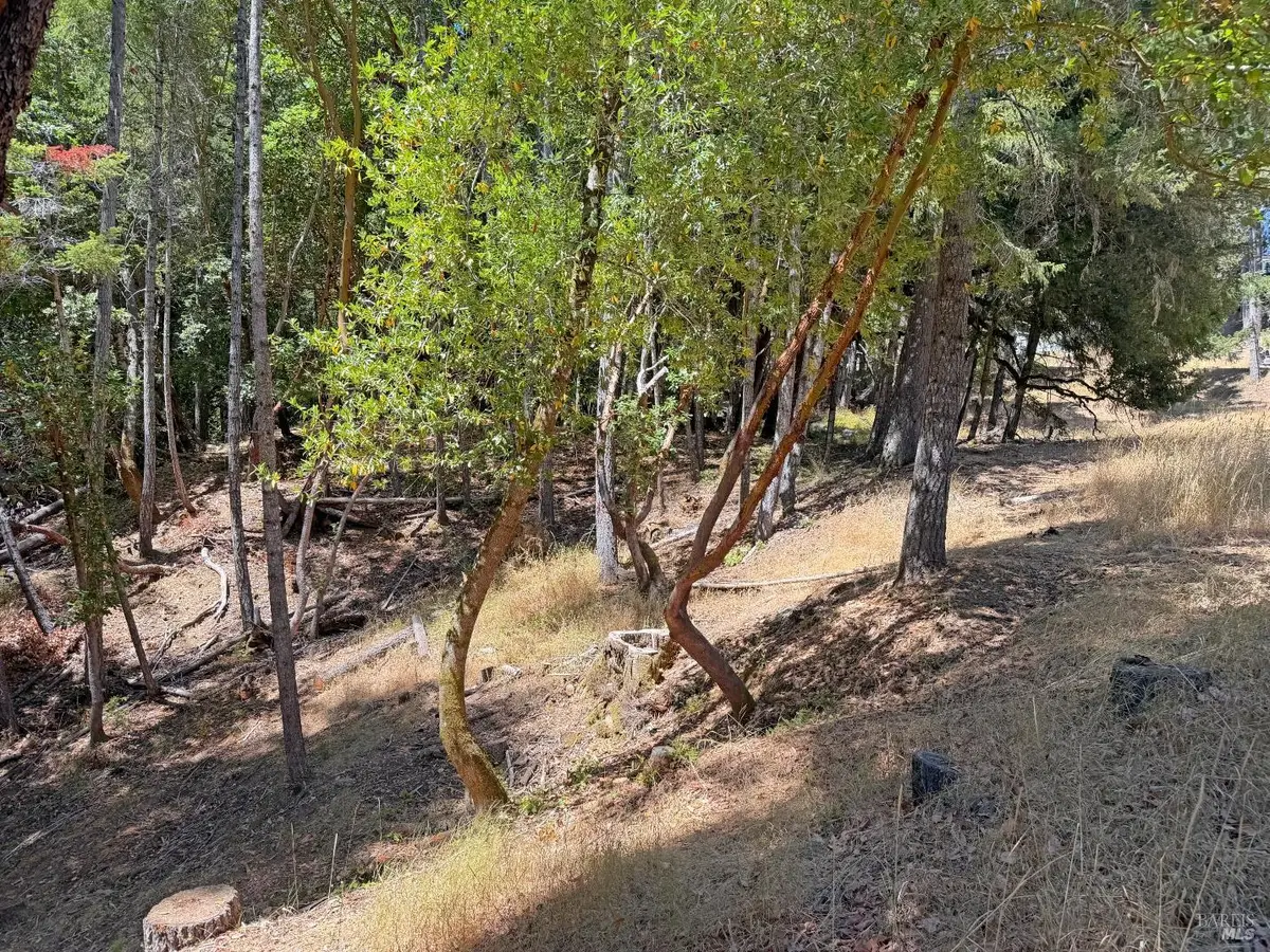 26006 Peacock Road, Willits, CA 95490 - #1