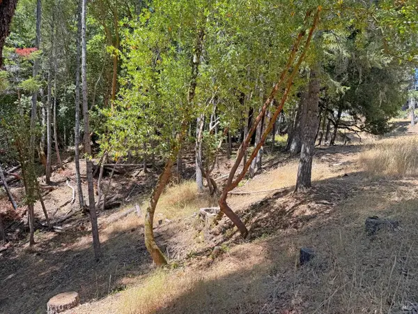 26006 Peacock Road, Willits, CA 95490