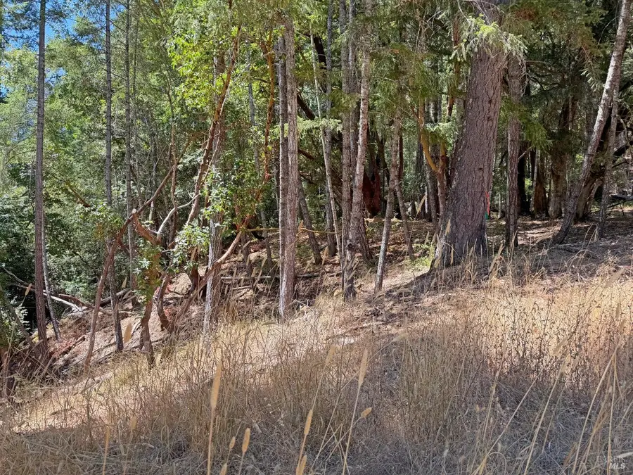 26006 Peacock Road, Willits, CA 95490 - #3