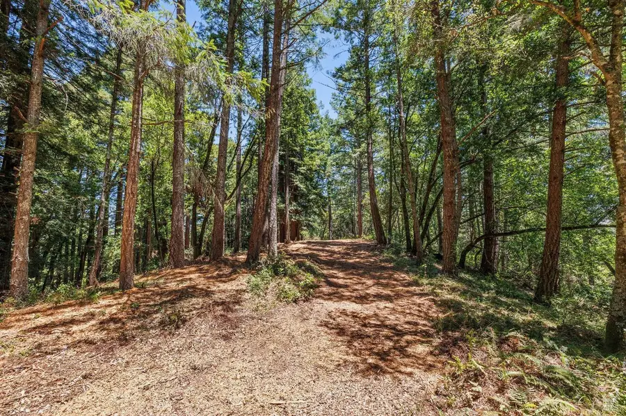 1401 Nicasio Valley Road, Nicasio, CA 94946 - #2