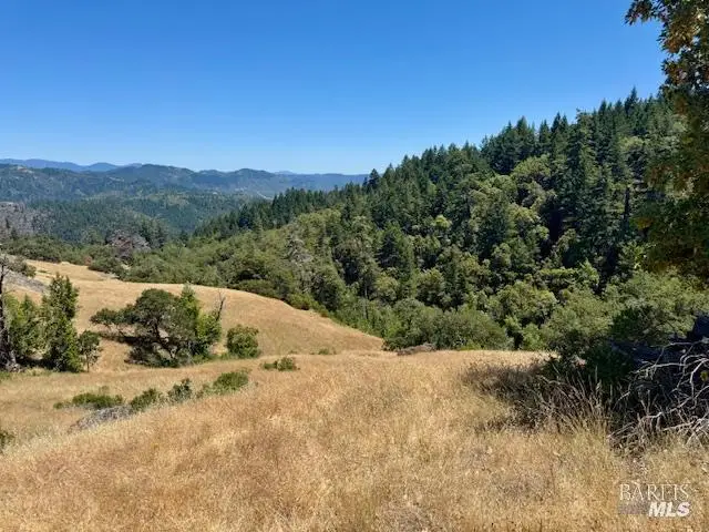 6355 First Gate Road, Willits, CA 95490 - #3