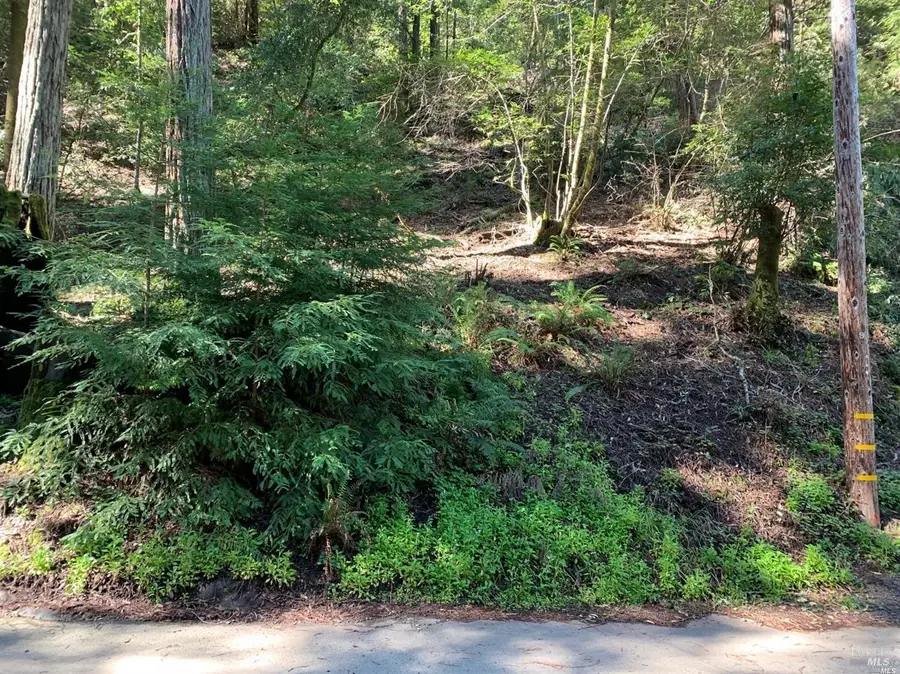 11953 Hillside Road, Forestville, CA 95436 - #3