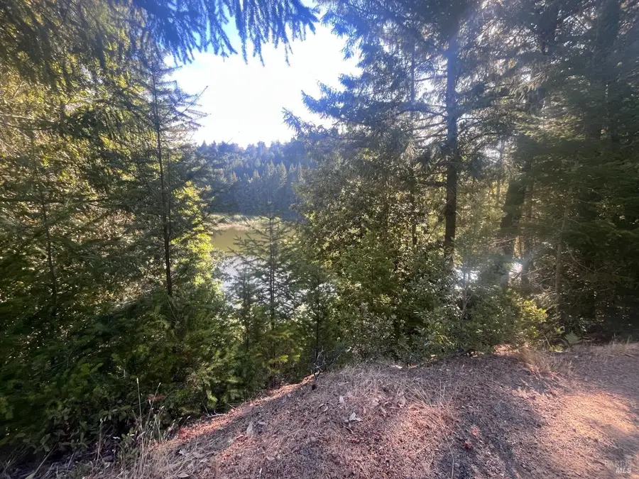 2114 Poppy Lane, Willits, CA 95490 - #2