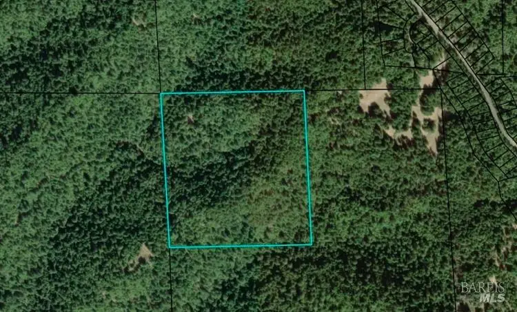 27048 Ridge Road, Willits, CA 95490 - #3