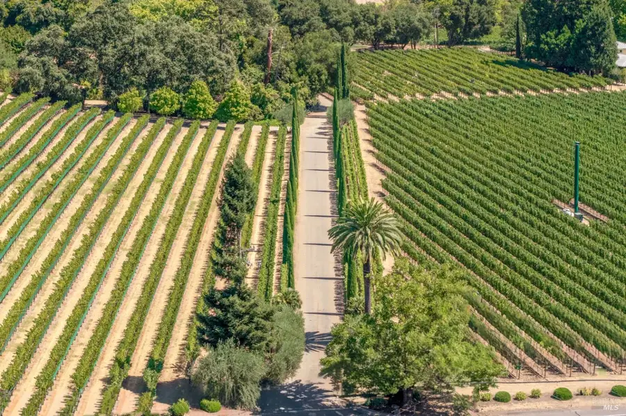 3242 Silverado Trail N, Saint Helena, CA 94574 - #2