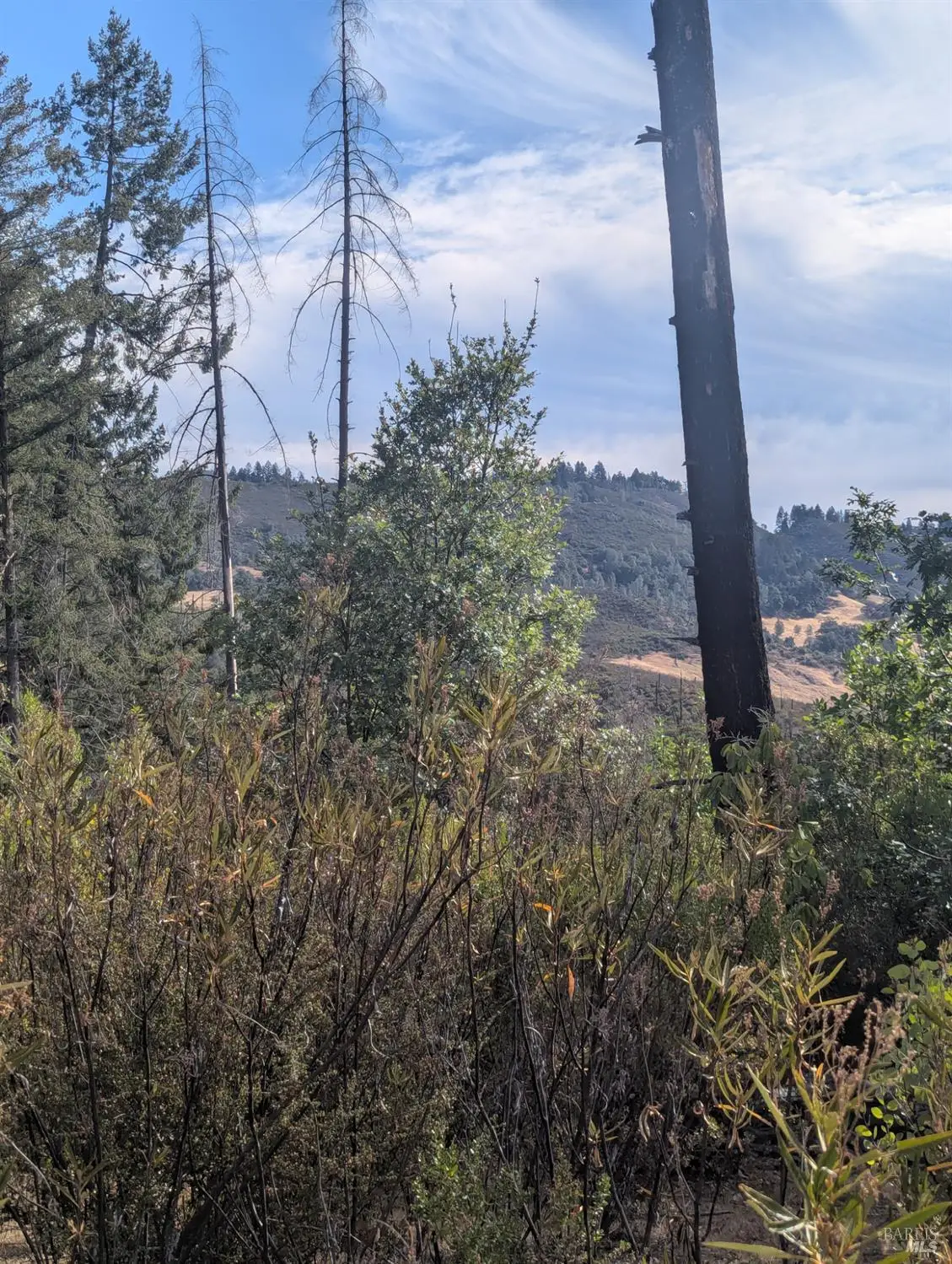 16351 Gibson Lane, Potter Valley, CA 95469 - #1