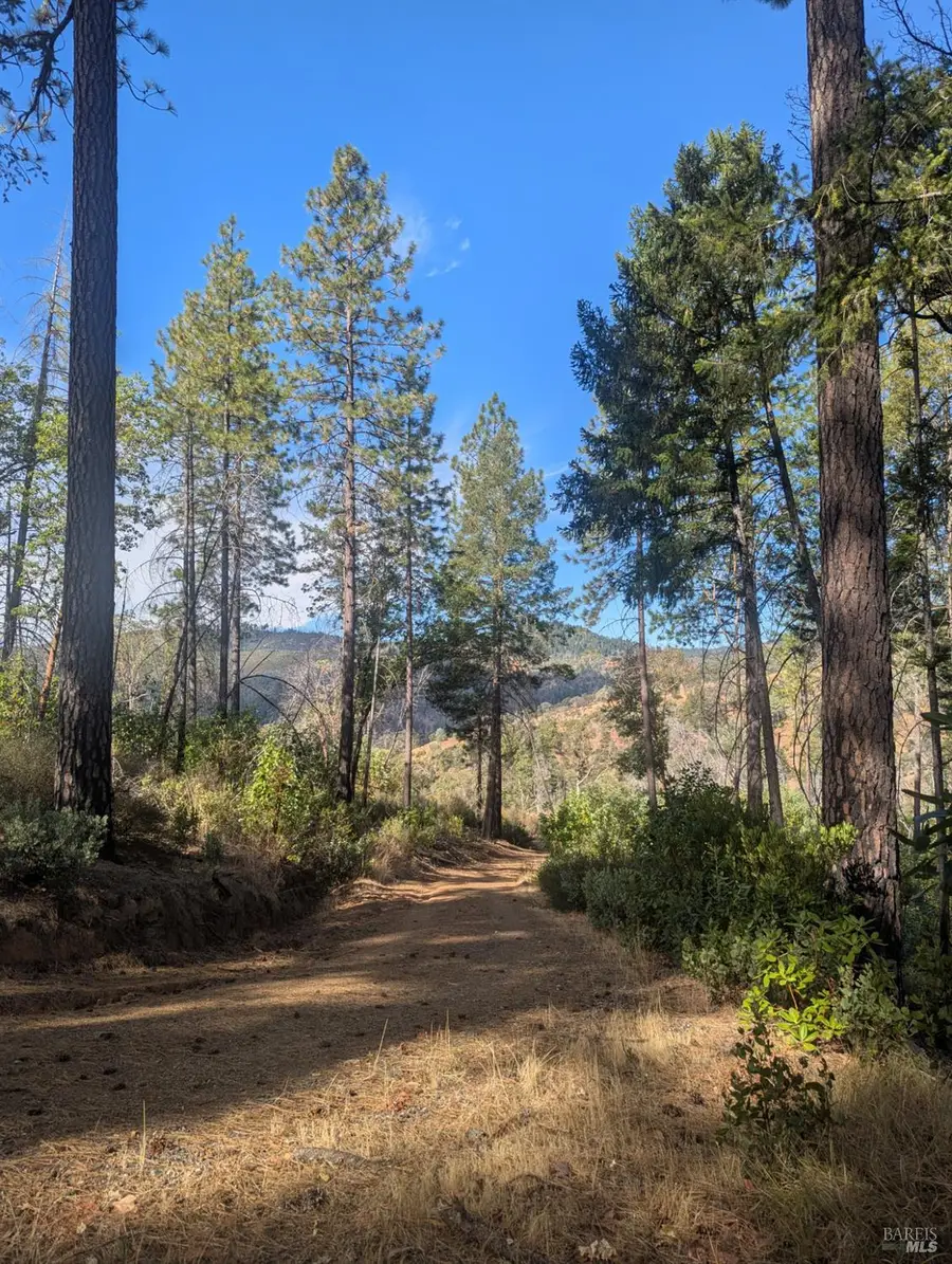 16351 Gibson Lane, Potter Valley, CA 95469 - #3