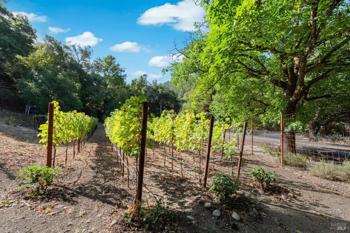 5266 Dry Creek Road, Napa, CA 94558 - #1