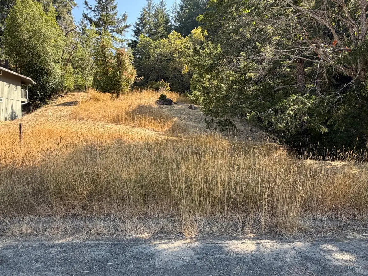 25521 Madrone Way, Willits, CA 95490 - #1