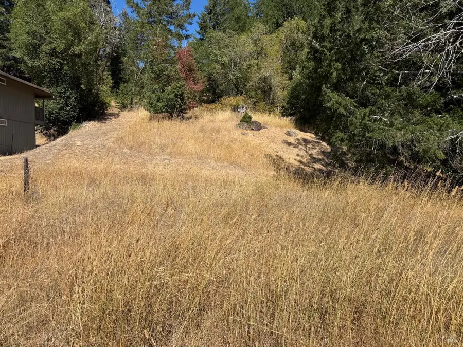 25521 Madrone Way, Willits, CA 95490 - #3