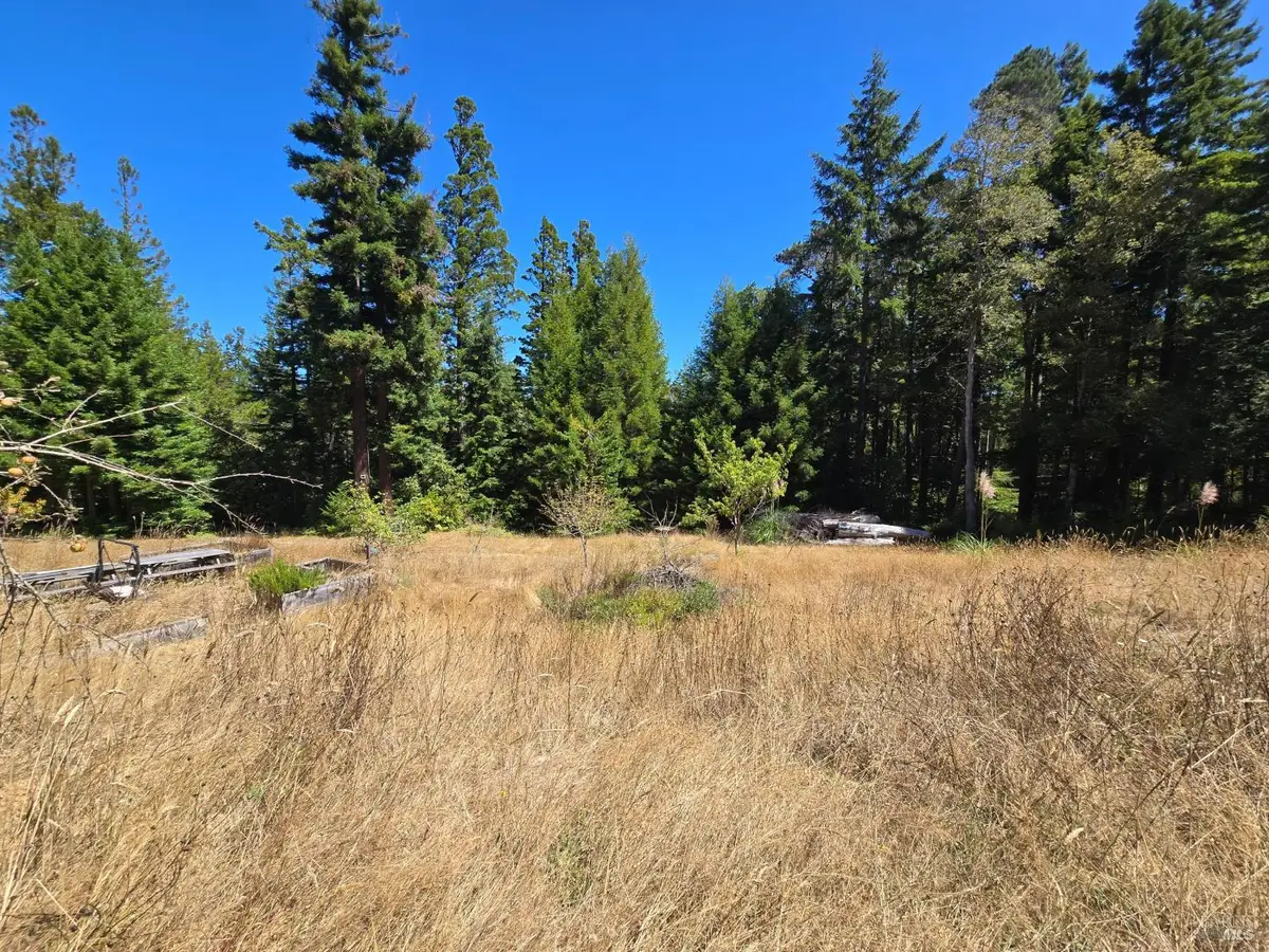 40741 Garcia River Road, Point Arena, CA 95468 - #1