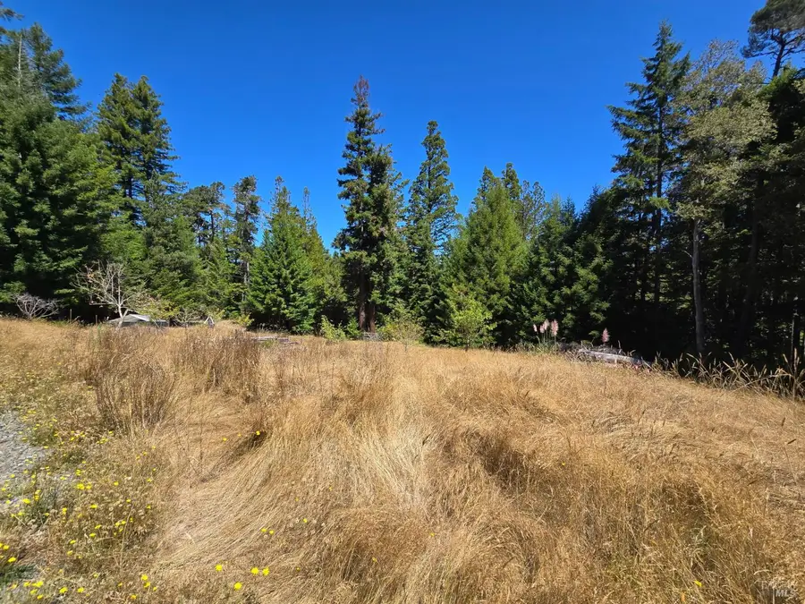 40741 Garcia River Road, Point Arena, CA 95468 - #2