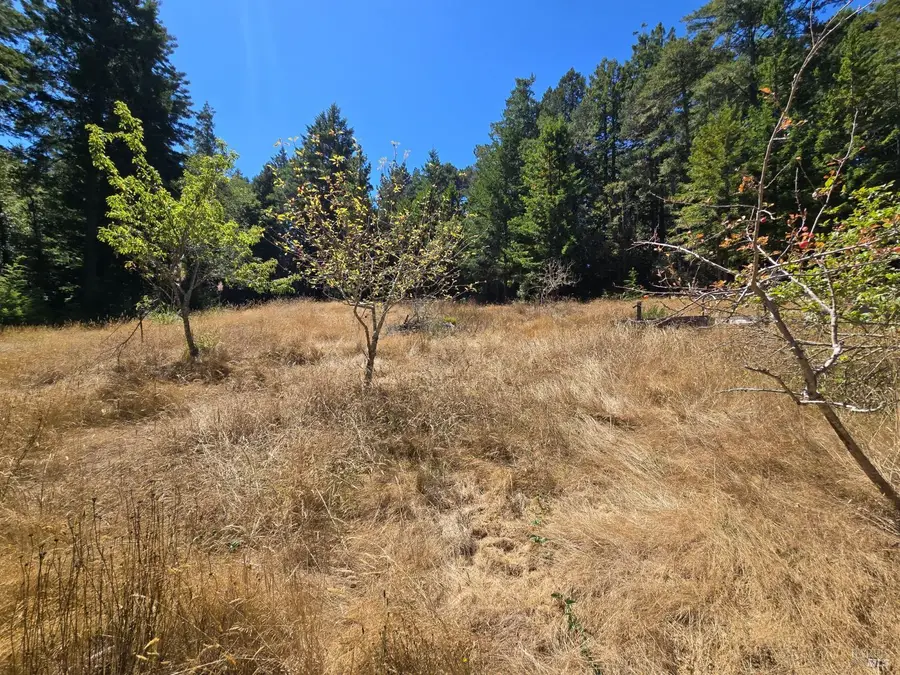 40741 Garcia River Road, Point Arena, CA 95468 - #3