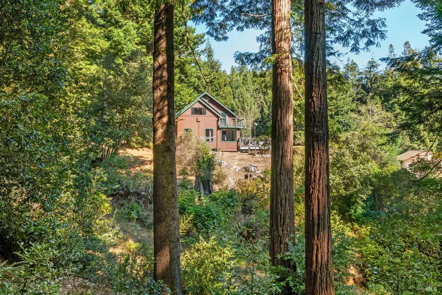 41341 Harris Ranch Road, Point Arena, CA 95468 - #3
