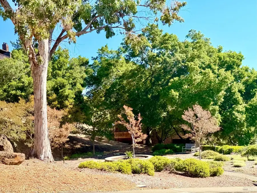 221 El Faisan Drive, San Rafael, CA 94903 - #2