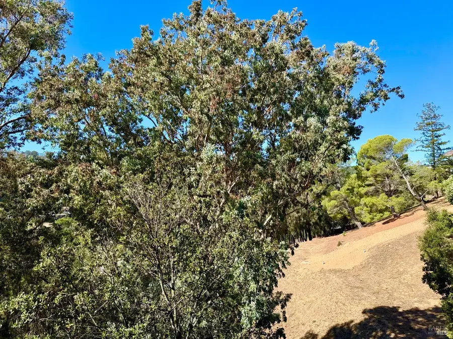 221 El Faisan Drive, San Rafael, CA 94903 - #3