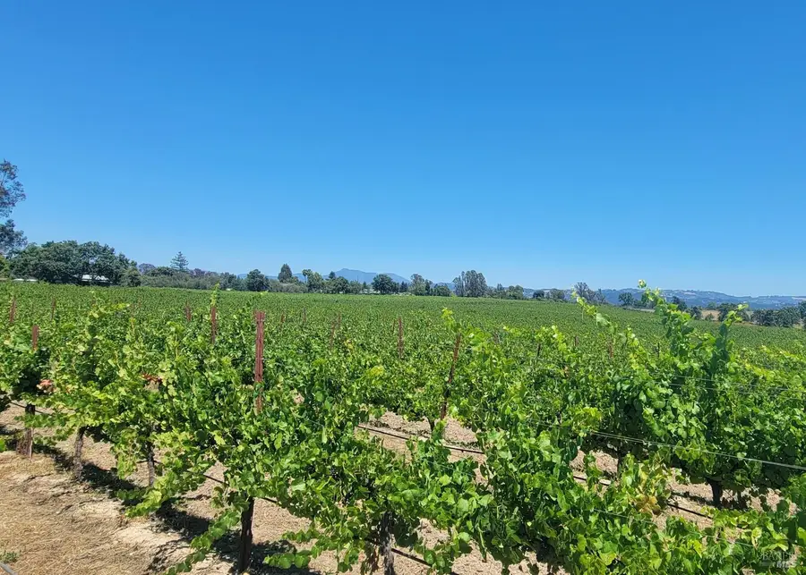 2892 Mark West Station Road, Windsor, CA 95492 - #2