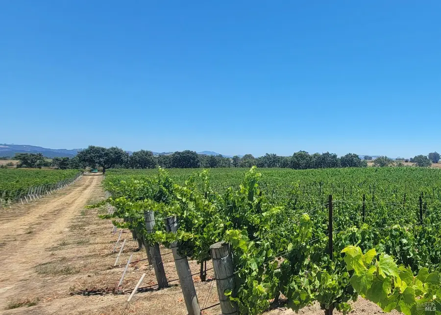 2892 Mark West Station Road, Windsor, CA 95492 - #3