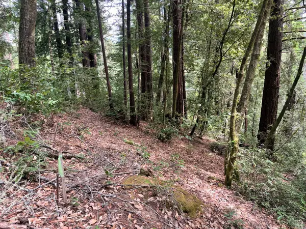 18190 Old Monte Rio Road, Guerneville, CA 95446