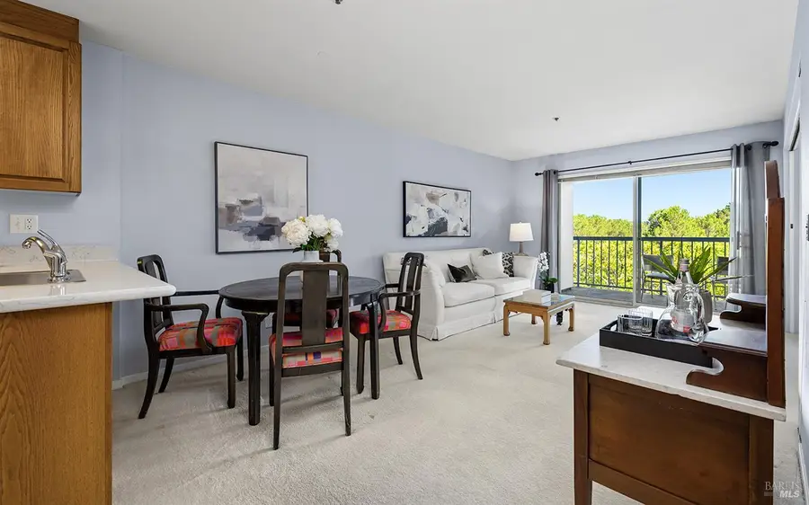 100 Thorndale Drive #245, San Rafael, CA 94903 - #2