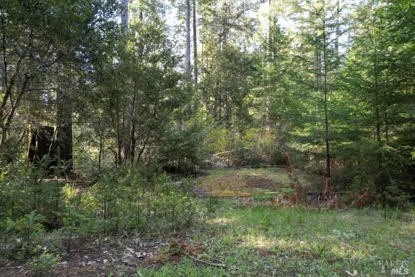 40410 Old Stage Road, Gualala, CA 95445