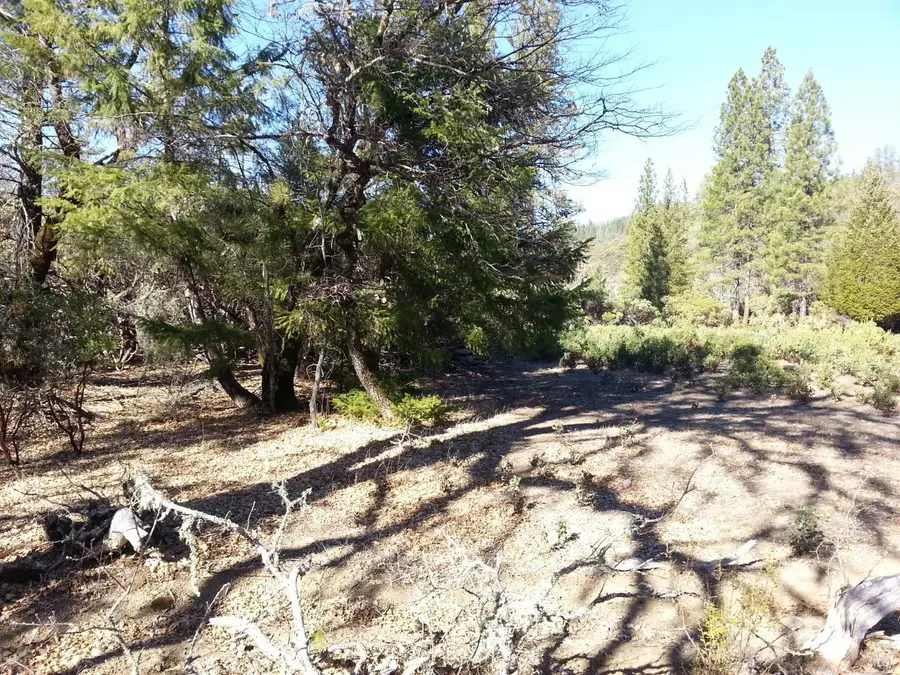 31325 Little Doe Court, Potter Valley, CA 95469 - #2