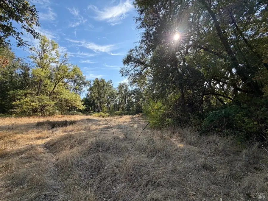 26000 East Lane Road, Covelo, CA 95428 - #3