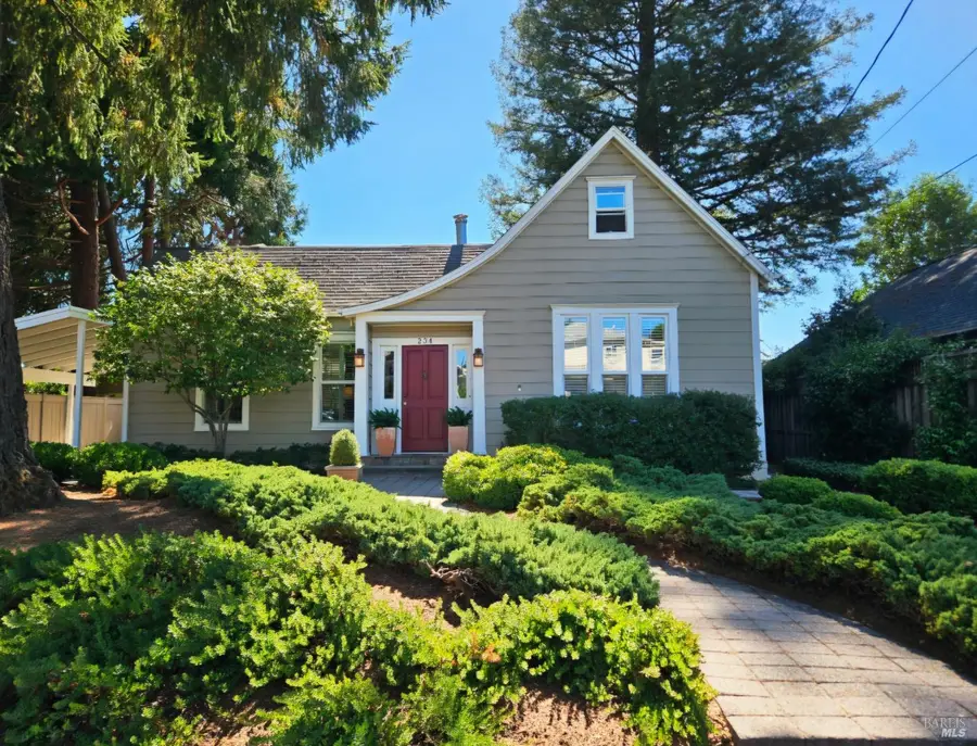 234 Lincoln Street, Healdsburg, CA 95448 - #2