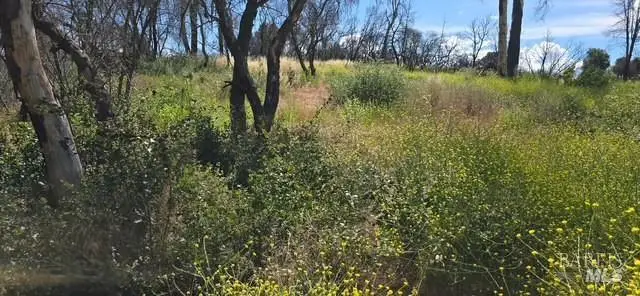 16001 11th Avenue, Clearlake, CA 95422 - #2