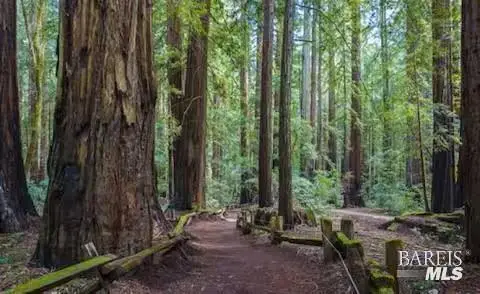 4290 Cazadero Highway, Cazadero, CA 95421 - #2
