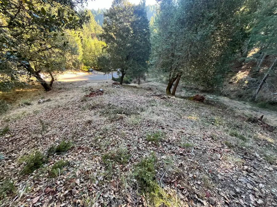 24573 Cypress Drive, Willits, CA 95490 - #2