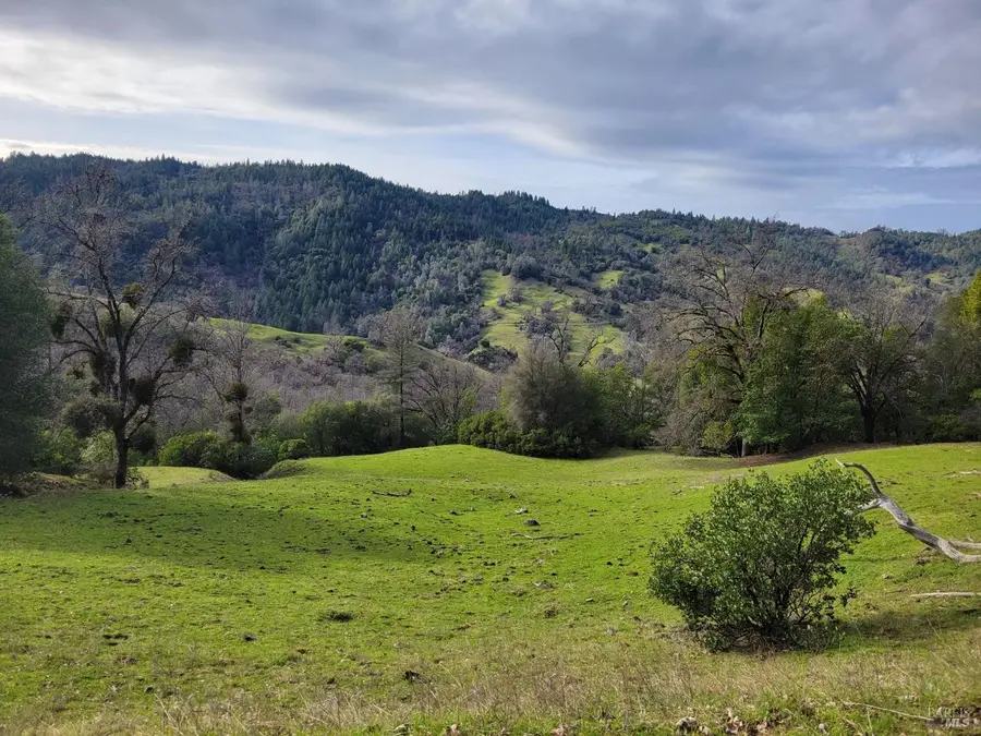 0 Covelo Road, Willits, CA 95490 - #2