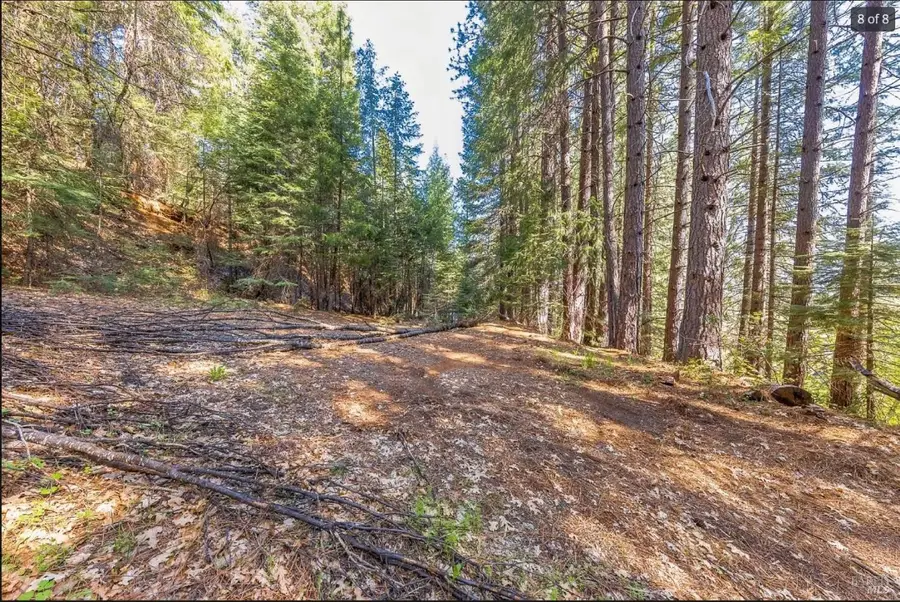 668 W High Street, Quincy, CA 95971 - #3
