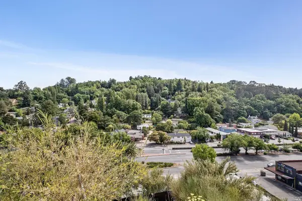 51 El Camino Avenue, San Rafael, CA 94901