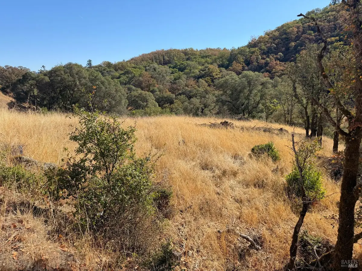 1451 Low Gap Road, Ukiah, CA 95482 - #1