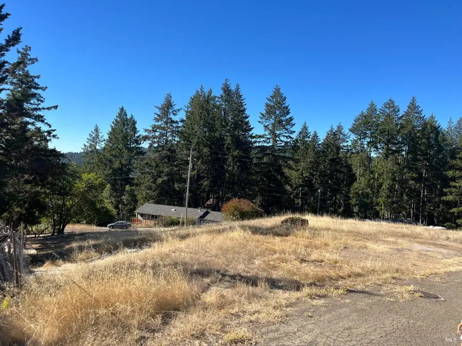 2061 Peacock Drive, Willits, CA 95490 - #3