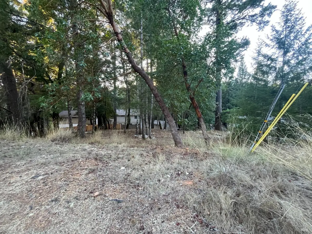 25350 Madrone Place, Willits, CA 95490 - #1