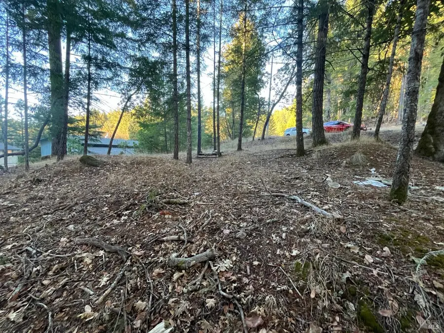 25350 Madrone Place, Willits, CA 95490 - #2