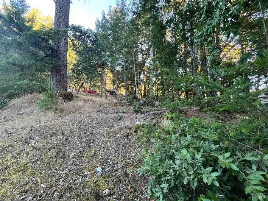 25350 Madrone Place, Willits, CA 95490 - #3