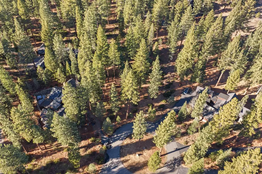 110 Bob Watson, Truckee, CA 96161 - Image #3