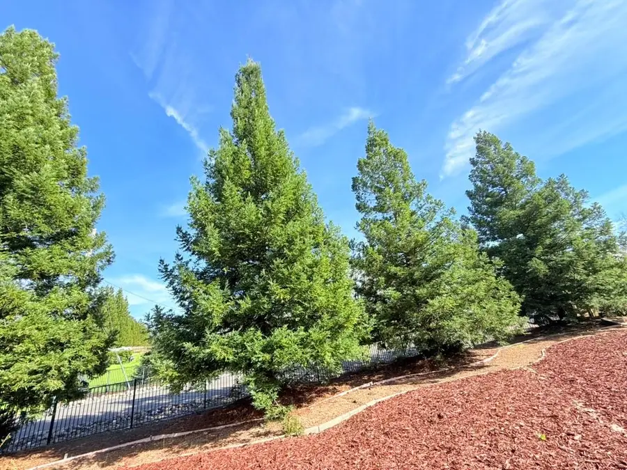 9060 Stockhorse Lane, Granite Bay, CA 95746 - #3