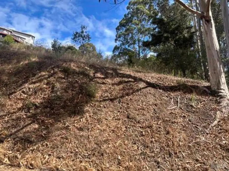 1245 Shoreline Highway, Mill Valley, CA 94941 - Image #3