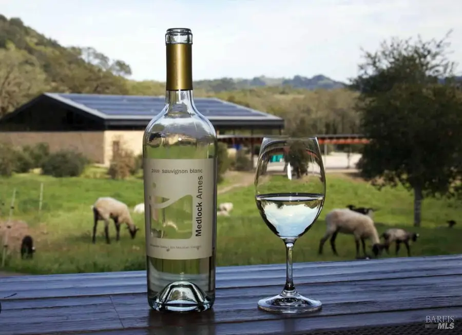 13422 Chalk Hill Road, Healdsburg, CA 95448 - Image #3