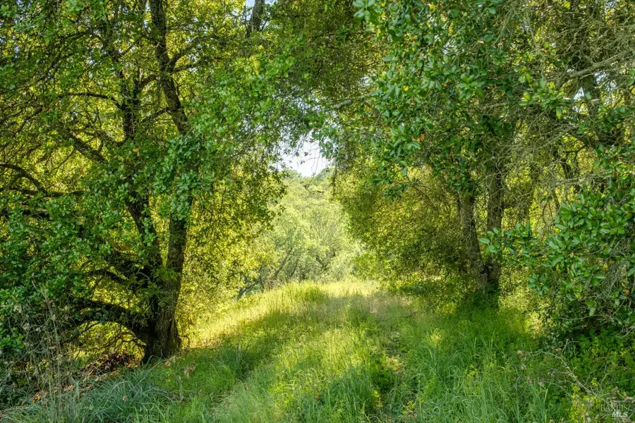 0 Arnold Drive, Sonoma, CA 95476 - #2