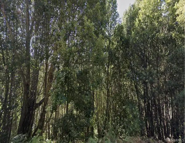 1659 Toth Road, Whitethorn, CA 95589