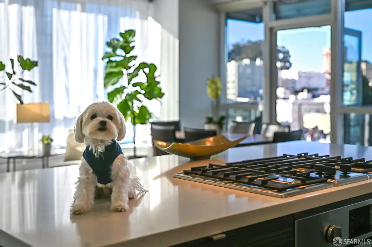 1688 Pine Street #E1211, San Francisco, CA 94109 - #1