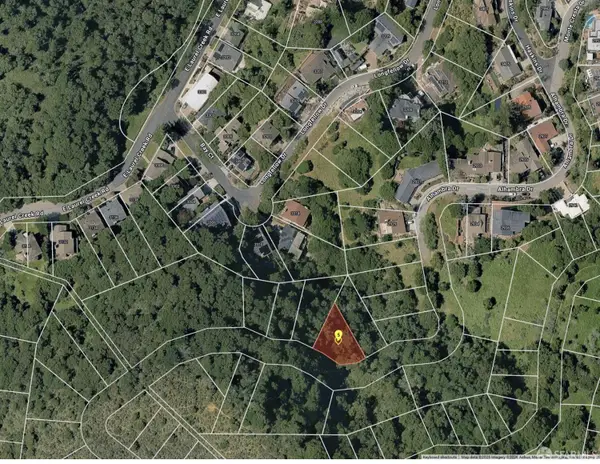 2917 Alhambra Drive, Belmont, CA 94002