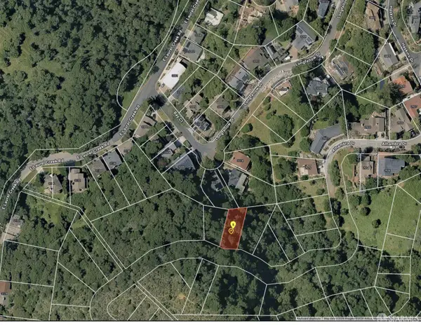 2913 Alhambra Drive, Belmont, CA 94002