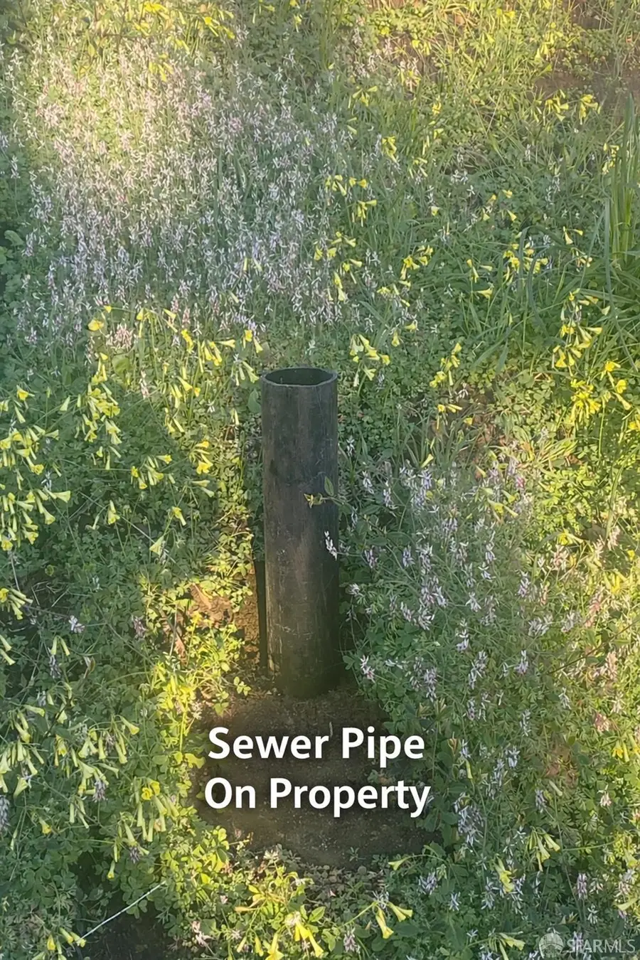 547 Farallon Avenue, Pacifica, CA 94044 - #3